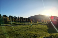 IMG_20241015_191846661_HDR