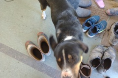 IMG_20241016_124138639_HDR