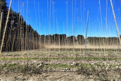 IMG_20241016_152030888_HDR