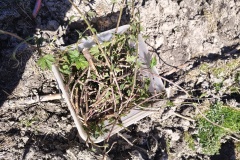 IMG_20241016_152046858_HDR