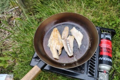 IMG_20241224_191737659_HDR