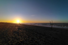 IMG_20241227_205532506_HDR