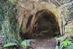 IMG_20250105_162709555_HDR