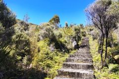 IMG_20250106_112718945_HDR