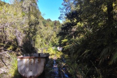 IMG_20250106_120425688_HDR