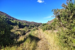 IMG_20250106_182253138_HDR