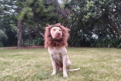 IMG_20250109_194623197_HDR