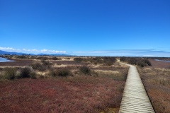 IMG_20250116_150015717