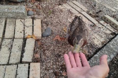 IMG_20250220_200119982_HDR