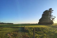 IMG_20241011_072030963_HDR