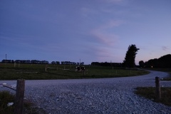 IMG_20241014_201753497_HDR