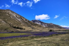 IMG_20241227_130600054_HDR