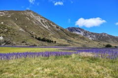 IMG_20241227_130637197_HDR