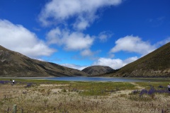 IMG_20241227_130843846