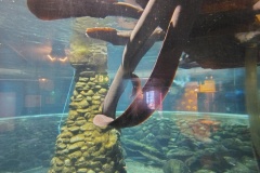 IMG_20241228_120919839_HDR