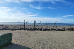 IMG_20241228_185026524_HDR