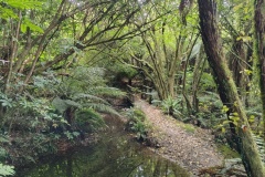 IMG_20241229_094356128_HDR