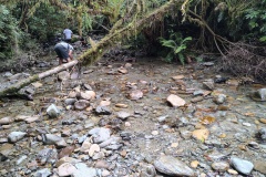 IMG_20241229_125037721_HDR