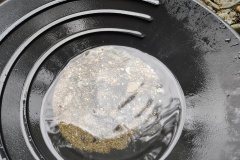 IMG_20241229_125044141_HDR