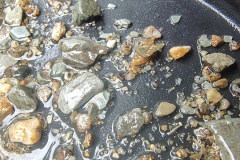 IMG_20241229_125436547_HDR