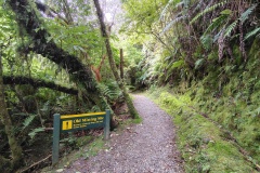 IMG_20241229_130428153_HDR