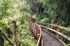 IMG_20241230_164701643_HDR