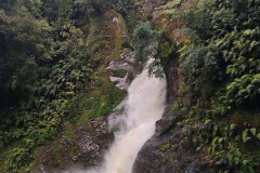 IMG_20241230_180854278