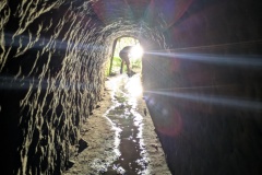 PXL_20241228_204256171