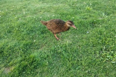 IMG_20250104_203421608_HDR