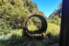 IMG_20250105_132534052_HDR