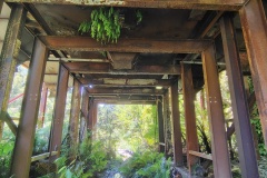 IMG_20250105_132538670_HDR