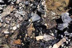 IMG_20250105_132648939_HDR