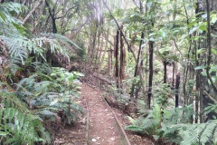 IMG_20250105_162644221_HDR