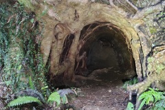 IMG_20250105_162710781_HDR