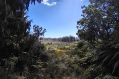 IMG_20250105_163015485_HDR