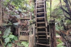 IMG_20250105_163141214_HDR