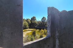 IMG_20250106_112311932_HDR