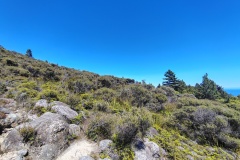 IMG_20250106_113136000_HDR