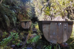 IMG_20250106_120020546_HDR