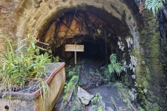 IMG_20250106_120046405_HDR