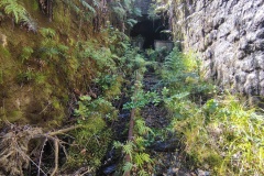 IMG_20250106_120434295_HDR