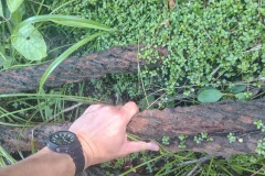 IMG_20250106_133123325_HDR