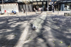 IMG_20241009_125009030_HDR