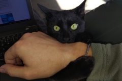 IMG_20241010_093336218