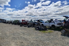 IMG_20241010_130411157_HDR